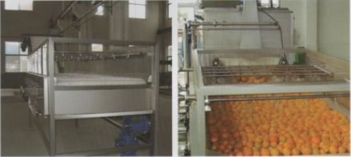 Roller with brush washing machine,Food Processing Machinery