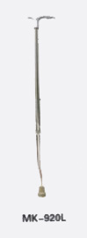 Walking Stick,Walking Stick