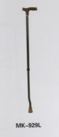 Walking Stick,Walking Stick