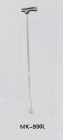 Walking Stick,Walking Stick