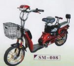 Electric Bicycle