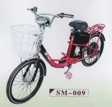 Electric Bicycle,Electric Bicycle