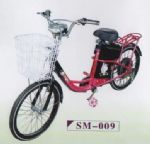 Electric Bicycle