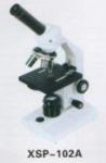 Biological Microscope