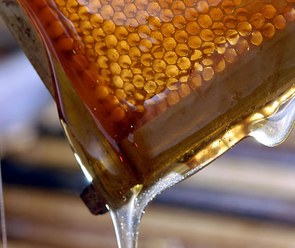Honey & Honey Products,Honey & Sweet Products