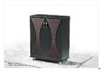shoe cabinet