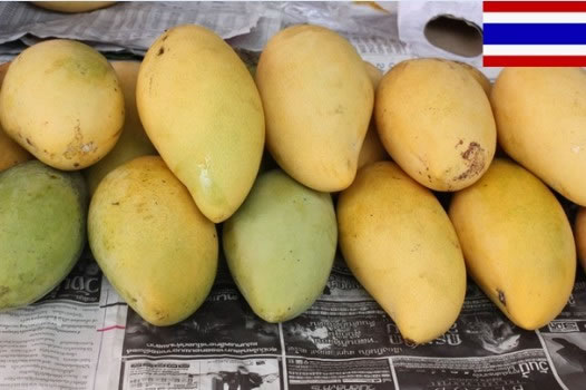 mango,Frutas & Produtos hortícolas