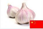Purple Garlic       
