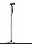 Walking Stick,Walking Stick