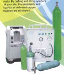 PROTABLE OXYGEN FILL SYSTEM