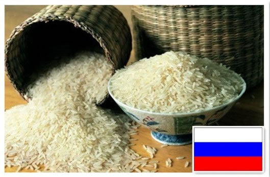 thailand rice,Grain & Nuts & Kernels