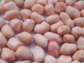 ,Grãos & Nuts & Grãos