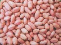 ,Grãos & Nuts & Grãos