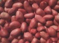 ,Grãos & Nuts & Grãos