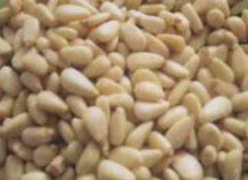 pine nut kernels,Grain & Nuts & Kernels