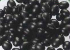 black kidney beans,Grain & Nuts & Kernels