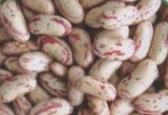 light speckled kidney beans long shape,Grain & Nuts & Kernels