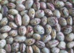 light speckled kidney beans xinjiang round shape,Grain & Nuts & Kernels