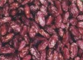purple speckled kidey beans,Grain & Nuts & Kernels