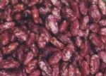 purple speckled kidey beans
