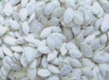satted snow white pumpkin seeds,Grain & Nuts & Kernels