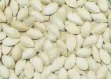 shine shin pumpkin seeds,Grain & Nuts & Kernels
