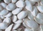 snow white pumpkin seeds size 13cm