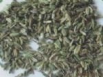 fennel seeds