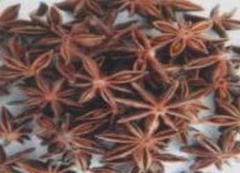 star aniseed status dried,Seasonings & Condiments