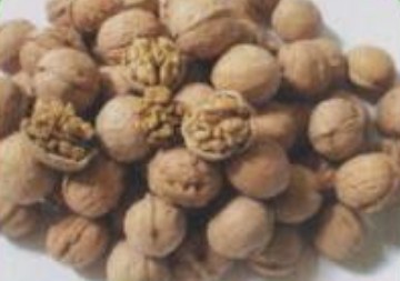 walnut in shell,Grain & Nuts & Kernels