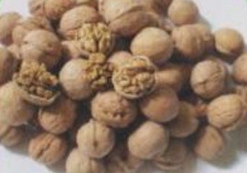 ,Grãos & Nuts & Grãos