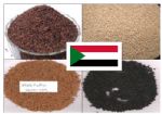 Sudan Sesame Seed
