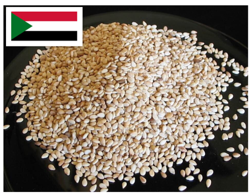 Sudan Sesame Seed,Grain & Nuts & Kernels