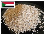 Sudan Sesame Seed