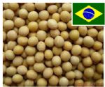 Brazil Soya Bean