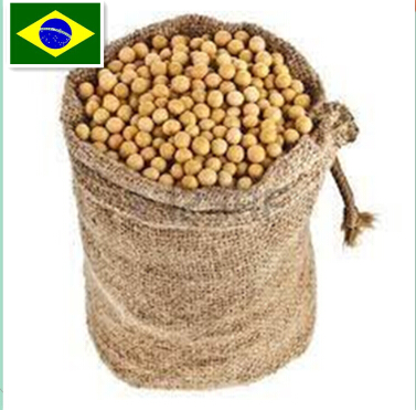 Brazil Soya Bean,Grain & Nuts & Kernels