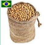 Brazil Soya Bean
