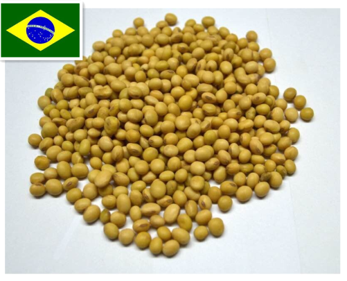 Brazil Soya Bean,Grain & Nuts & Kernels