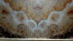 Wall Decorations Stone